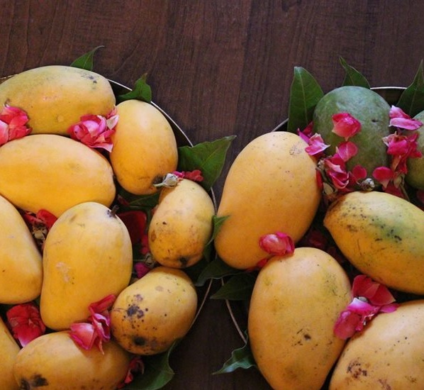 mango popup forktales
